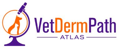 Veterinary Dermatopathology Atlas